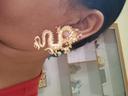 Fierce Gold Dragon Statement Earrings – Bold Asian-Inspired Fashion Accessory photo review